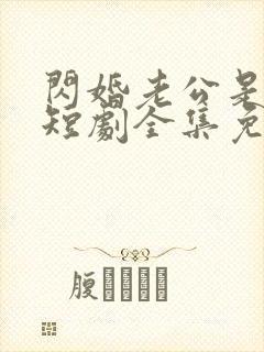 闪婚老公是豪门短剧全集免费观看