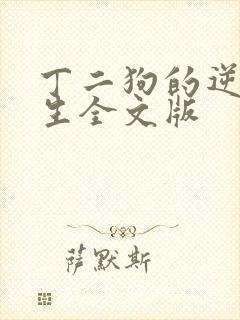 丁二狗的逆袭人生全文版