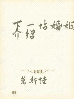 下一站婚姻剧情介绍封面