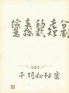 捡来的老公是亿万总裁短剧