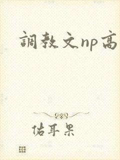 调教文np高h
