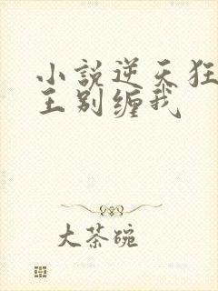小说逆天狂妃邪王别缠我