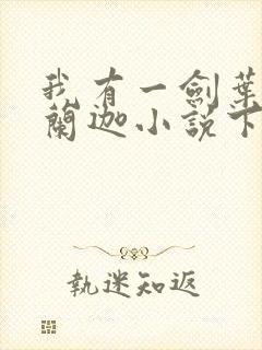 我有一剑叶观纳兰迦小说下载