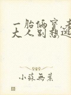 一胎俩宝,老婆大人别想逃最近章节