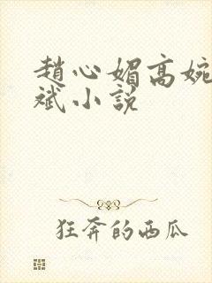 赵心媚高婉君陈斌小说封面