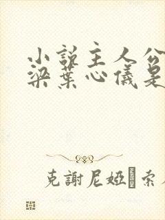 小说主人公叫乔梁叶心仪是什么小说封面