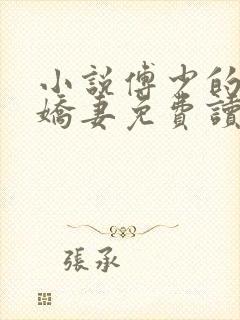 小说傅少的秘宠娇妻免费读封面