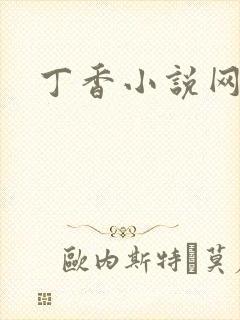 丁香小说网