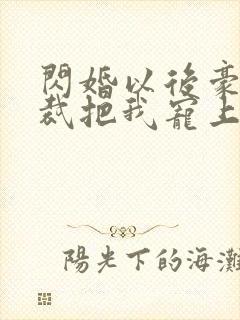 闪婚以后豪门总裁把我宠上天