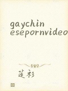 gaychinesepornvideo