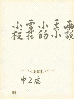 小雪小柔两个大校花的小说免费阅读