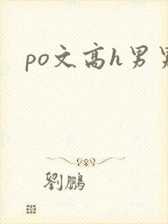 po文高h男男