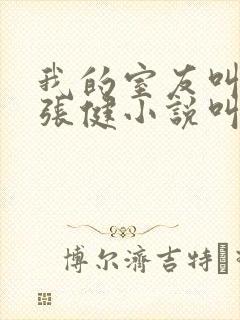 我的室友叫小敏张健小说叫什么名字