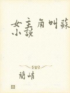 女主角叫苏月的小说