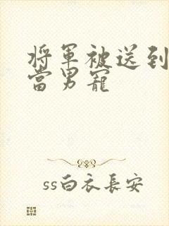 将军被送到敌国当男宠