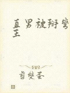 直男被掰弯双男主