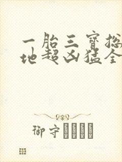 一胎三宝总裁爹地超凶猛全本下载txt