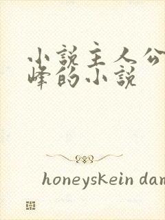 小说主人公叫林峰的小说封面