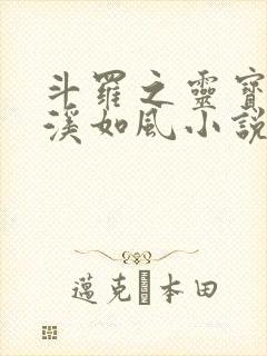 斗罗之灵宝斗罗溪如风小说