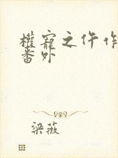 权宠之仵作医妃番外