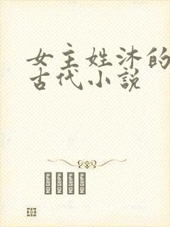 女主姓沐的重生古代小说