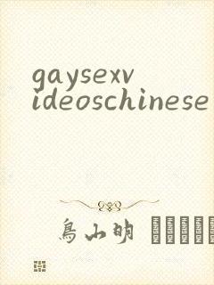 gaysexvideoschinese