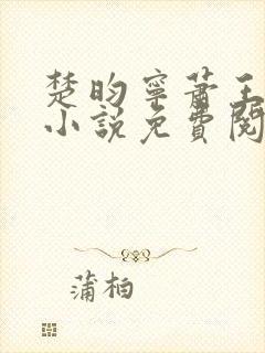 楚昀宁萧王穿越小说免费阅读无弹窗