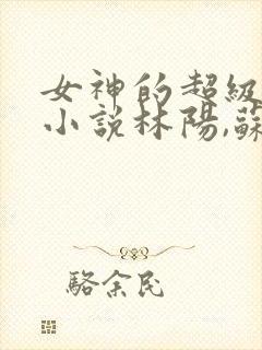 女神的超级赘婿小说林阳,苏颜