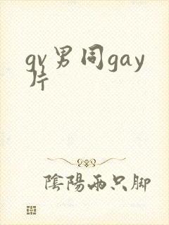 gv男同gay片