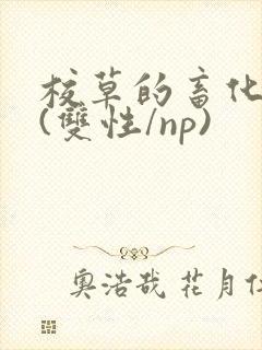 校草的畜化调教(双性/np)