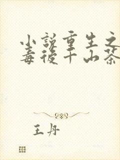 小说重生之将门毒后千山茶客最新篇章