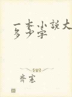 一本小说大概有多少字