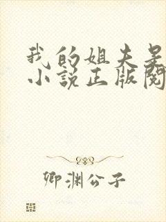 我的姐夫是太子小说正版阅读