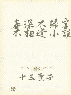 春深不归客清梦不相逢小说全文阅读