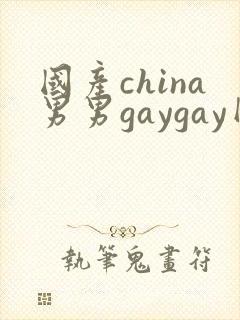国产china男男gaygay网站