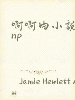 啊啊肉小说嗯嗯np