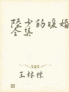 陆少的暖婚新妻全集封面