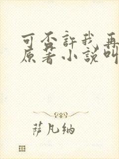 可否许我再少年原著小说叫什么名字