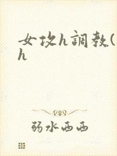 女攻h调教(高h