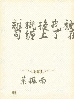 离职后我被前上司缠上了 在逃兔子封面