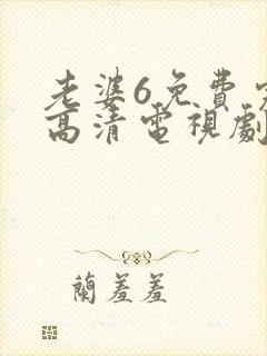 老婆6免费完整高清电视剧看