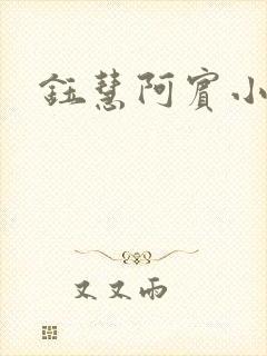 钰慧阿宾小说