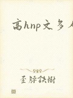 高hnp文多人