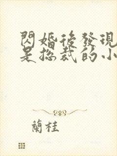 闪婚后发现老公是总裁的小说封面