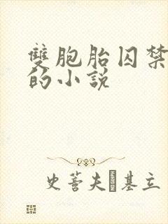 双胞胎囚禁女主的小说