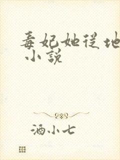 毒妃她从地狱来 小说