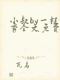 小叔by一枝独秀全文免费阅读笔趣阁最