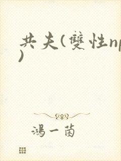 共夫(双性np)
