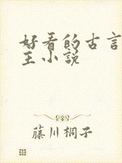 好看的古言双男主小说封面