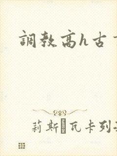 调教高h古言